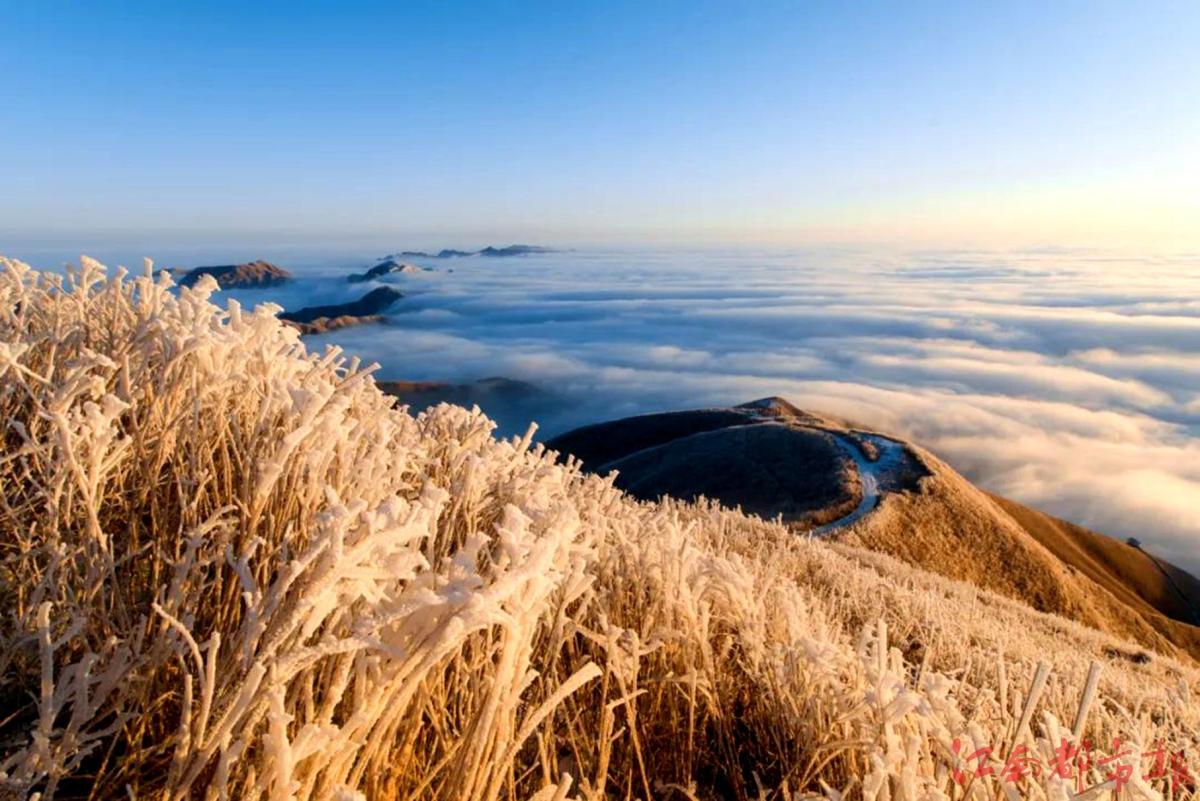萍鄉(xiāng)武功山：霧凇云海，銀裝素裹